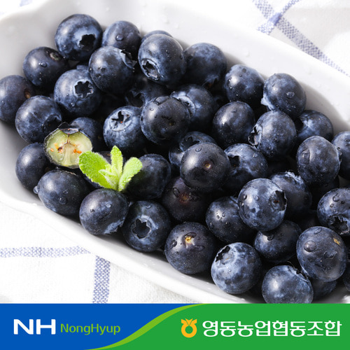 영동농협 생 블루베리 1kg (특,특대,왕특)